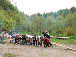 2010-05-22_ntb_8842