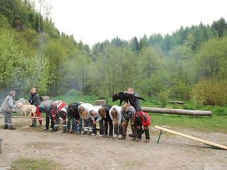 2010-05-22_ntb_8843