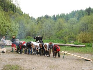 2010-05-22_ntb_8845