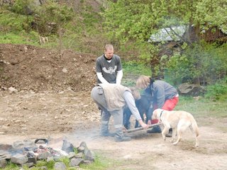 2010-05-22_ntb_8859