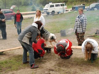 2010-05-22_ntb_8865