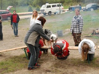 2010-05-22_ntb_8866