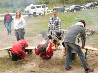 2010-05-22_ntb_8869