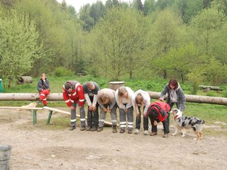 2010-05-22_ntb_8873