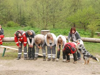 2010-05-22_ntb_8875
