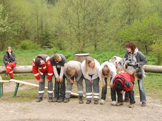 2010-05-22_ntb_8878