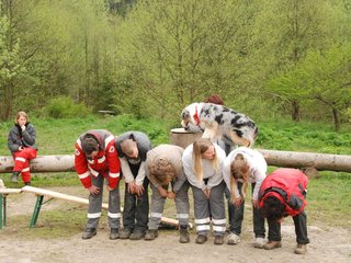 2010-05-22_ntb_8881