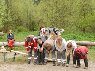 2010-05-22_ntb_8884