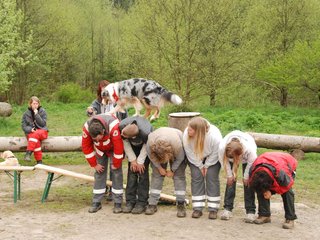 2010-05-22_ntb_8886