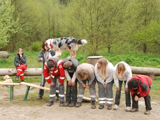 2010-05-22_ntb_8887