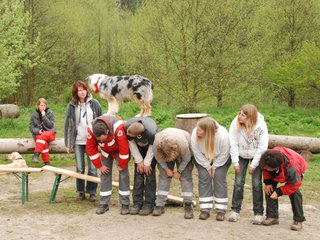 2010-05-22_ntb_8888