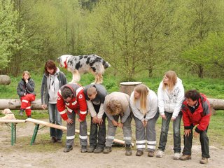 2010-05-22_ntb_8889