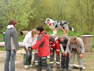 2010-05-22_ntb_8893
