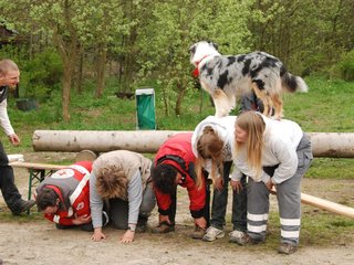 2010-05-22_ntb_8896