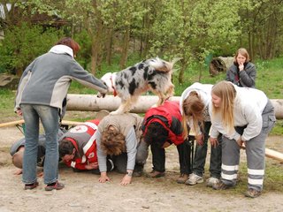 2010-05-22_ntb_8898