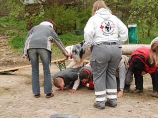 2010-05-22_ntb_8900