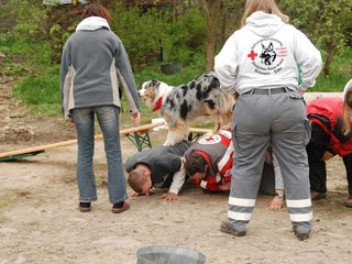 2010-05-22_ntb_8901