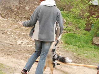 2010-05-22_ntb_8903