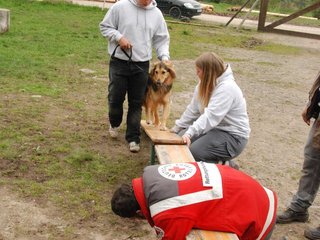2010-05-22_ntb_8910