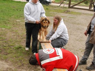 2010-05-22_ntb_8912