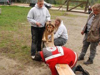 2010-05-22_ntb_8913