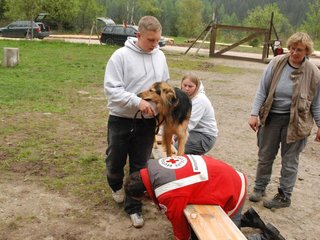 2010-05-22_ntb_8915