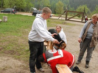 2010-05-22_ntb_8917