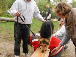2010-05-22_ntb_8918