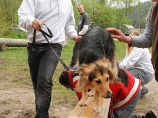 2010-05-22_ntb_8919