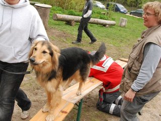 2010-05-22_ntb_8920