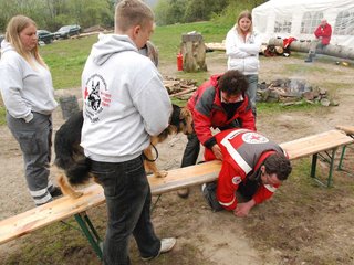 2010-05-22_ntb_8921