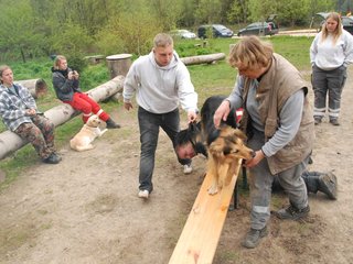 2010-05-22_ntb_8925