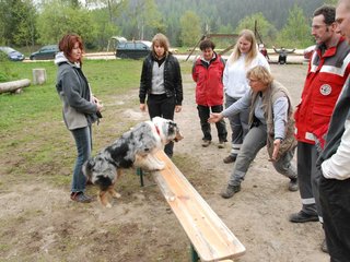 2010-05-22_ntb_8926