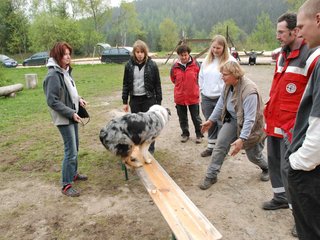 2010-05-22_ntb_8927