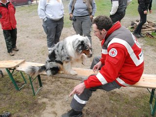 2010-05-22_ntb_8928