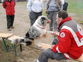 2010-05-22_ntb_8930