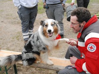 2010-05-22_ntb_8931