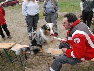 2010-05-22_ntb_8933