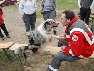 2010-05-22_ntb_8934