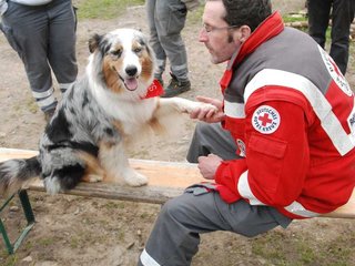 2010-05-22_ntb_8935