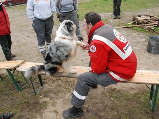 2010-05-22_ntb_8937