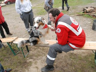 2010-05-22_ntb_8938