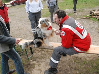 2010-05-22_ntb_8939
