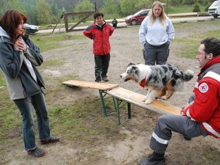 2010-05-22_ntb_8941