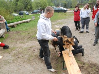 2010-05-22_ntb_8947