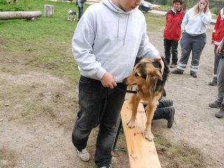 2010-05-22_ntb_8948