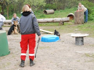 2010-05-22_ntb_8956