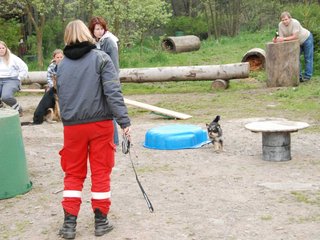 2010-05-22_ntb_8957