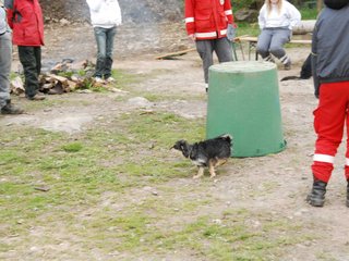 2010-05-22_ntb_8959