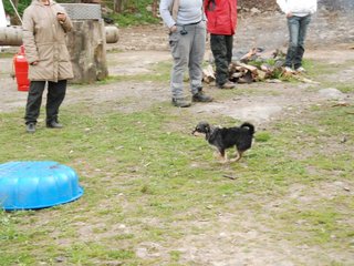 2010-05-22_ntb_8960
